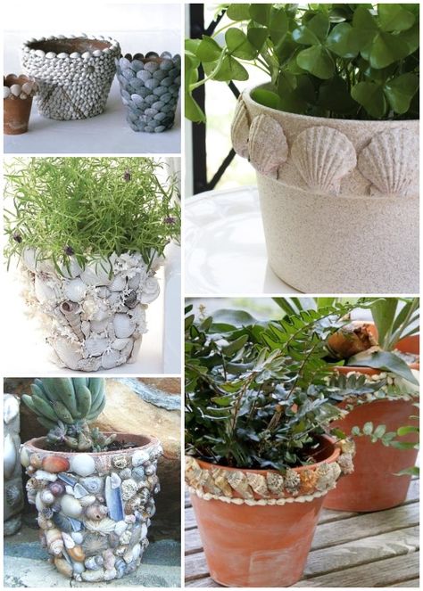 seashell crafts, sea crafts, shell crafts diy,seashells for crafts, seashell arts and crafts, seashell arts and crafts ideas, seashell crafts for adults, easy seashell crafts, diy seashell crafts, handmade seashell crafts for adults