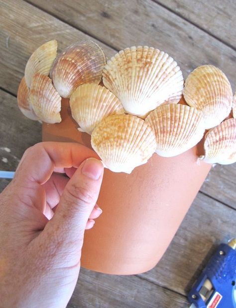 seashell crafts, sea crafts, shell crafts diy,seashells for crafts, seashell arts and crafts, seashell arts and crafts ideas, seashell crafts for adults, easy seashell crafts, diy seashell crafts, handmade seashell crafts for adults